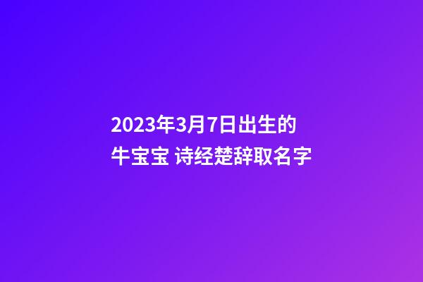 2023年3月7日出生的牛宝宝 诗经楚辞取名字